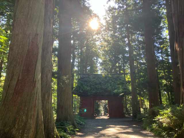 戸隠神社　パワースポットやりすぎ