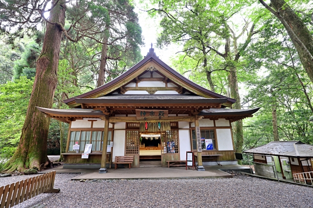 高千穂神社で体験する神秘的な夜神楽